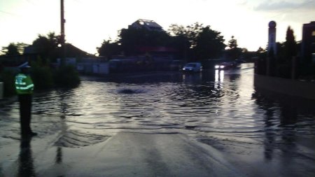 ANSVSA cere proprietarilor de animale din zonele afectate de inundatii sa coopereze cu medicii veterinari