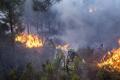 Un incendiu de vegetatie din Catalonia inchide o autostrada principala si o linie de cale ferata