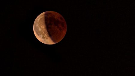 Spectacol pe cerul noptii saptamana viitoare: Eclipsa partiala de Luna, in acelasi timp cu Superluna Recoltei