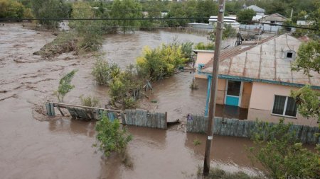 <span style='background:#EDF514'>DOI FRATI</span> din Galati, printre cei care au murit din cauza inundatiilor. Unul dintre ei a fost dus de ape mai bine de 9 km