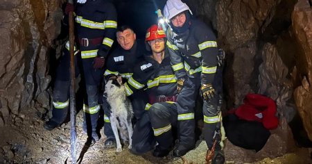 O catelusa a fost salvata de pompieri dintr-o groapa adanca de zece metri, aflata intr-o mina dezafectata