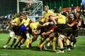 Victorie  pentru Romanian Wolves in meciul de debut in Rugby Europe Super Cup 2024