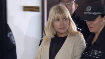 Elena Udrea ar putea scapa astazi de puscarie: ICCJ se pronunta pe cererea de revizuire in dosarul Gala Bute