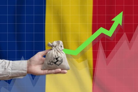 Analistii CFA Romania anticipeaza o rata a inflatiei de 4,95% pentru orizontul de 12 luni