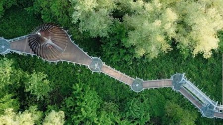 Loc uluitor la numai o ora de Arad. Aleea Cununilor este spectaculoasa