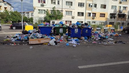 Orasul din Romania la un pas sa intre in alerta din cauza gunoiului. Deseurile zac in saci de o saptamana, iar primarul este in concediu