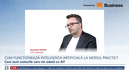 ZF Live. Alexandru Neacsu, chief technology officer, Cybertech: Inteligenta artificiala (AI) nu e o solutie pentru orice problema din IT, pentru ca poate introduce greseli, sa sustina ca 2 plus 3 nu fac 5, e nevoie de supervizare umana