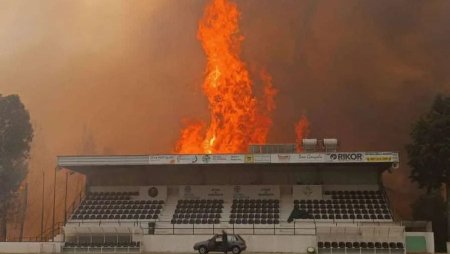 Sapte morti, intre ei trei pompieri, si 40 de raniti, in incendiile de vegetatie din Portugalia. Guvernul a declarat situatie de calamitate