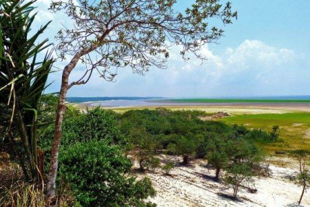 Amazonia, hit by the worst drought on record