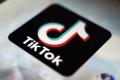 TikTok interzice conturile media asociate cu presa de stat din Rusia, in contextul alegerilor din SUA