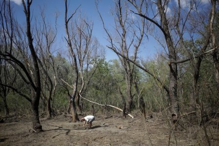 Fragmente de drona ruseasca de tip Geran 2 gasite langa comune Plauru