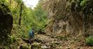 Valea Sighistel, un paradis salbatic al pesterilor. Locul este denumit si paradisul verde