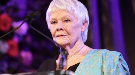 Judi Dench si John Cena - vocile chatbotului Meta AI