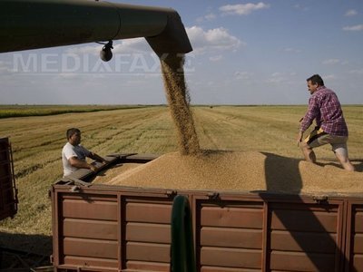 Soufflet Agro Romania, parte a grupului francez Soufflet, a trecut pe pierdere in 2023, la afaceri de 217,5 mil. lei