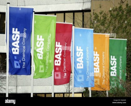 <span style='background:#EDF514'>BASF</span> stabileste o noua directie de strategie corporativa