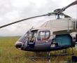 Elicopter privat retinut in Rusia, dupa ce a fost la un pas sa loveasca un stol de pasari rare. A zburat la doar sase metri deasupra apelor rezervatiei