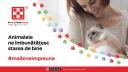 De Ziua Internationala a Animalelor, PURINA isi intareste angajamentele fata de animalele de companie, oamenii care le iubesc si planeta