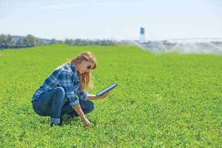 ASE a investit intr-un laborator de agricultura urbana digitala si vrea sa antreneze viitori specialisti pentru dronele din fermele romanesti