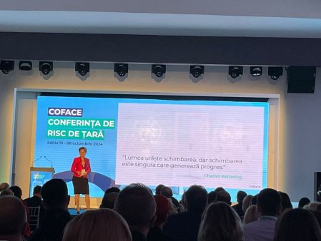 Alina Popa, Coface Romania: vedem ca economia creste sub asteptari, un an anagircol slab si profiturile companiilor se erodeaza. Sunt si lucruri incurajatoare: creditarea creste, iar investitiile publice probabil vor depasi 100 mld. lei