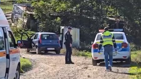 Cinci tineri s-au batut cu furci si topoare din cauza unei fete, in Botosani