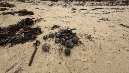 Mii de bile negre misterioase au fost gasite pe doua plaje din Australia: 