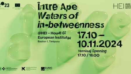 Expozitia Intre Ape (Waters of in-betweenness) debuteaza la House of European Institutes Timisoara cu o serie impresionanta de evenimente culturale