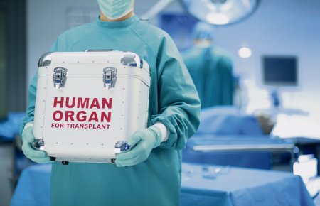 Guvernul a aprobat dezvoltarea unei noi platforme informatice a activitatilor de transplant de organe