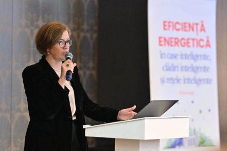 Daniela Daraban, Directorul Executiv al ACUE: 'Estimam ca datoria statului catre furnizorii de energie electrica este de un miliard de euro, pentru 2024'