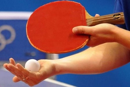 Argint pentru Romania in proba de dublu feminin la Campionatele Europene de tenis de masa