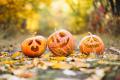 Efectul Halloween pe pietele financiare. Scaderea actiunilor in octombrie – superstitie sau teorie?