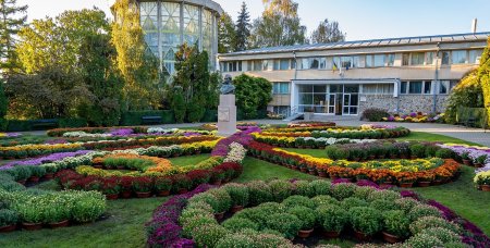 Cea mai asteptata expozitie de flori de toamna s-a deschis in Gradina Botanica din Iasi. Zeci de vizitatori au venit sa admire explozia de culori