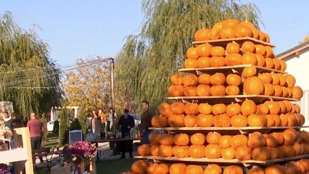 Petrecere inedita de Halloween in Ilfov: Copiii si adulti si-au facut propriile aranjamente cu flori si dovleci