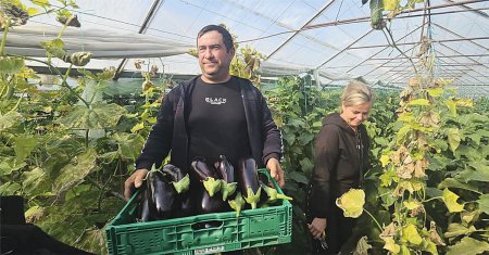 Cine sunt fermierii-minune, romanii care produc legume gustoase pe banda rulanta: Oamenii nu mai au grija zilei de maine