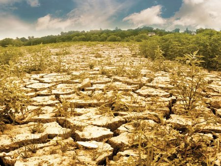 Mesajul managerilor si proprietarilor din agrobusiness: Schimbarile climatice sunt aici si reseteaza agricultura: Romania a ajuns Tunisia, vedem cu ochii ca nu mai avem precipitatii. Apa va fi cotata la Bursa