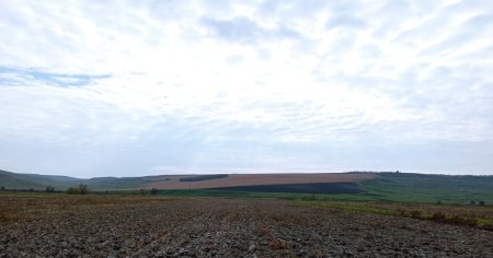 Secretul amar al saraciei din comunele nevoiase ale Romaniei. Cum a dus vanzarea pamantului la ruinarea taranilor