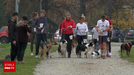 Cursa inedita intr-o padure din Bistrita. Cainii si stapanii lor au alergat impreuna la 