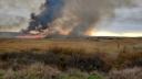 Incendiu de vegetatie si stuf izbucnit in Delta Neajlovului. Ard circa 60 de hectare