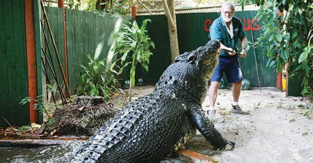 Cel mai mare crocodil din lume a murit la 110 ani. Detinea recordul mondial