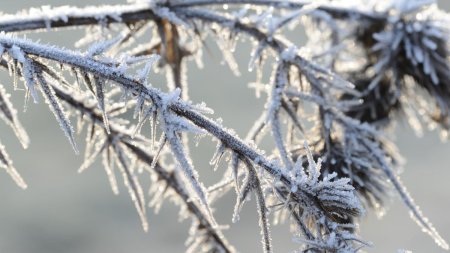 Cea mai geroasa dimineata. Temperaturile au coborat pana la -9 grade. Cum se anunta vremea in urmatoarele zile