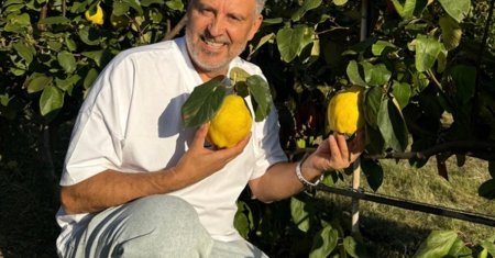 Ce recolta bogata a strans chef Alexandru Sautner in livada lui de poveste de la Turnu Severin: Cultiv kiwi fara par si banana nordului! Bucatarul de la Chefi la cutite se gandeste sa inceapa o noua afacere