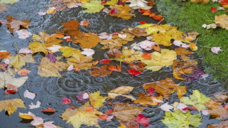 Prognoza meteo pentru urmatoarele doua saptamani. Vremea se raceste treptat si vin ploile