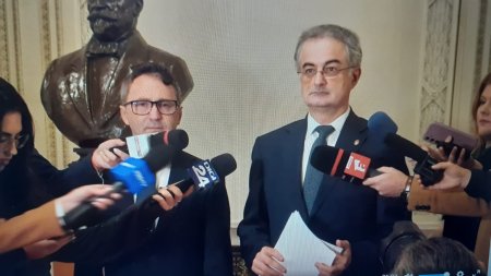 Andronache: Proiecte ale PNL - preluate in programul de guvernare al PSD