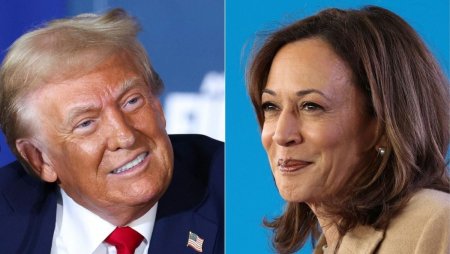 Vedetele care ii sustin pe Donald Trump si pe Kamala Harris la alegerile prezidentiale din SUA