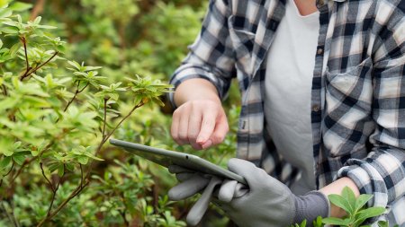 Solutii de finantare pentru dezvoltarea fermelor