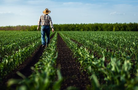 Reguli mai stricte pentru producatorii agricoli care vand produse din propria ferma. Ce schimbari pregateste ANSVSA