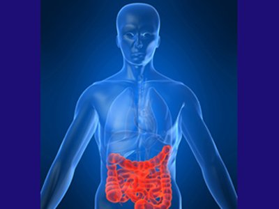 Ponturi de viata lunga: rolul surprinzator al hormonilor intestinali