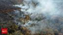 O padure din Mehedinti arde de o saptamana. Sute de hectare au fost mistuite, dupa incendii izbucnite in mai multe judete