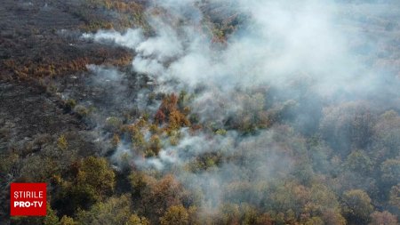 O padure din Mehedinti arde de o saptamana. Sute de hectare au fost mistuite, dupa incendii izbucnite in mai multe judete