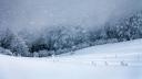 Alerte meteo de ninsori, viscol si ploi in Romania. Harta cu judetele care intra sub avertizare cod galben de vreme rea