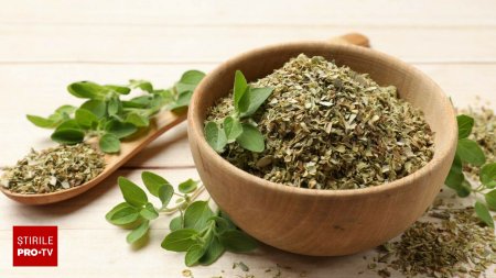 Oregano - beneficii si proprietati vindecatoare. La ce mancaruri se foloseste oregano